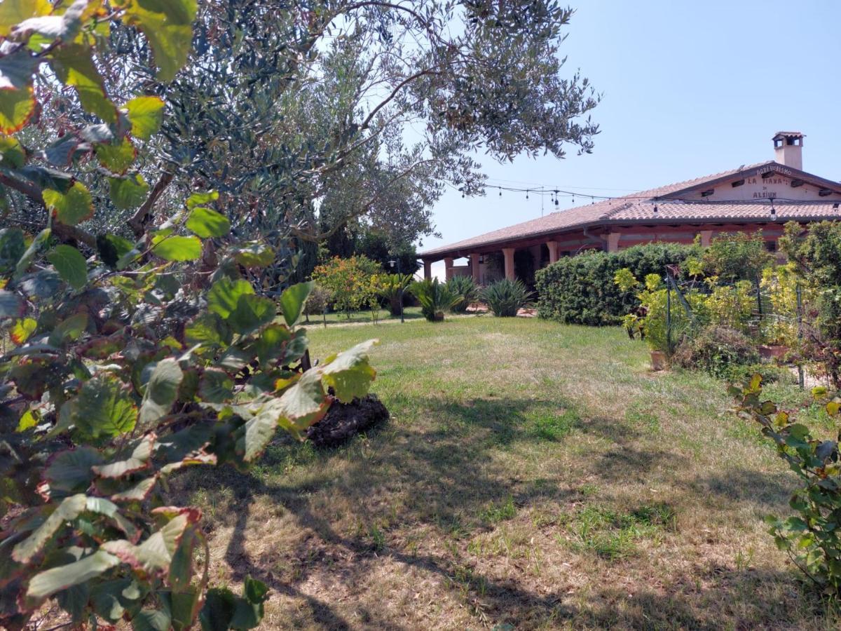 La Piana Di Alsium Villa Ladispoli Exterior photo