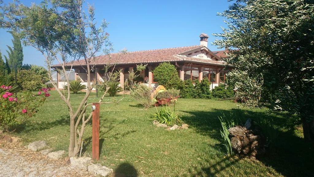 La Piana Di Alsium Villa Ladispoli Exterior photo